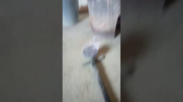 горелки для казана смотреть онлайн