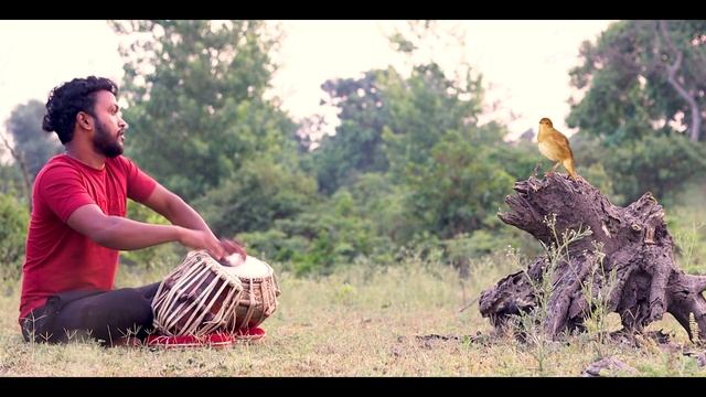 Tabla Aur Kauye Ki JugalBandi.तबला और कौवे की जुगलबंदी । смотреть онлайн