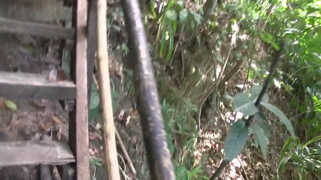 JUNGLE TOUR PHILIPPINES {{ PART 13 of 22 }} PALAWAN ZIP LINE WALK UP MOUNTAIN 1/2 MILE OF JUNGLE смотреть онлайн