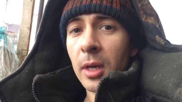 Купили поросят)