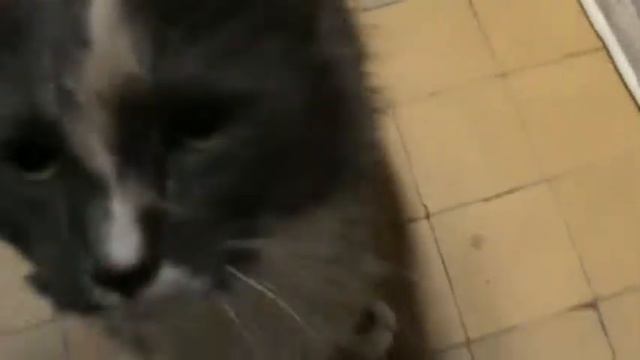 M2U00548 смотреть онлайн