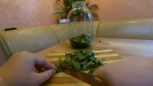 Супер лекарство от кашля, трахеита и бронхита! Рецепт сиропа подорожника смотреть онлайн