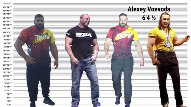 Armwrestlers Height Comparison