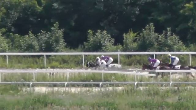 Ахалтекинский жеребец Дамирбек. Скачка 1800м смотреть онлайн