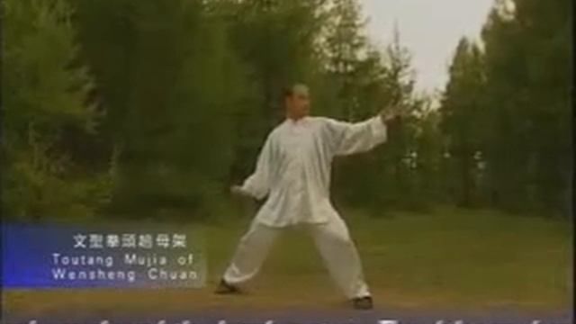 Вэнь Шен Цюань (2).flv