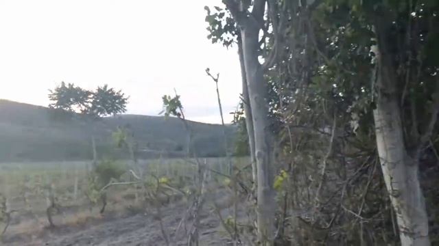 Приве́тное Ускут Крым смотреть онлайн