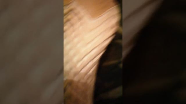 Adidas pureboost DPR Vs Nike epic react Flyknit!! смотреть онлайн