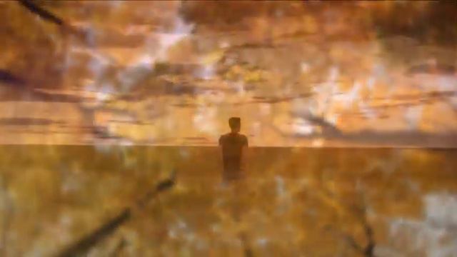 Душевная песня ! "ЖУРАВЛИ" Автор и исполнитель ВЛАДИМИР ЦАРЬКОВ. смотреть онлайн