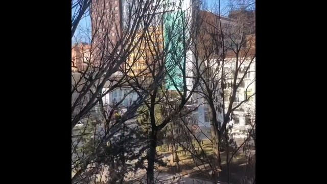 Как и где выбрать квартиру на вторичном рынке жилья в Ростове-на-Дону смотреть онлайн