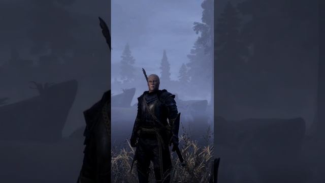 Оцените персонажа || Skyrim SE RfaD by Chicken bbb #tesv #gaming #twitch #skyrim #rfad смотреть онлайн