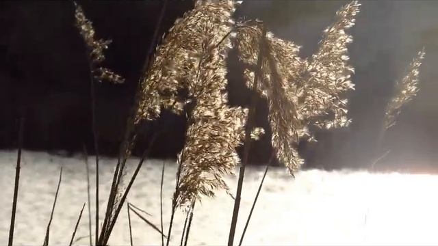 відео тест canon powershot sx 510 hs смотреть онлайн