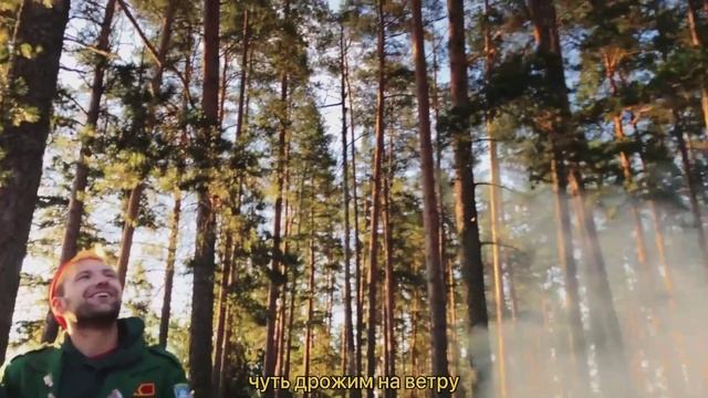 Вайбы Диогена.mp4