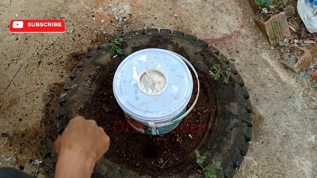 take advantage of super good tomato growing tires смотреть онлайн