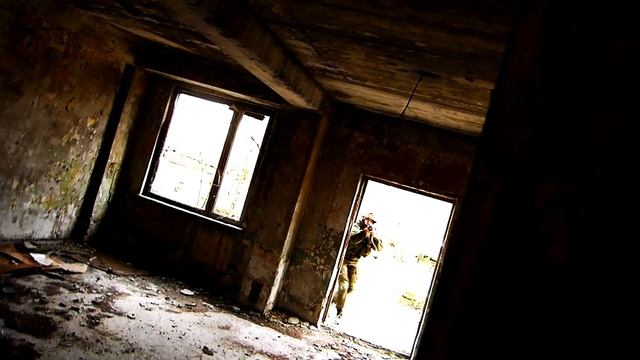 Волна партизан