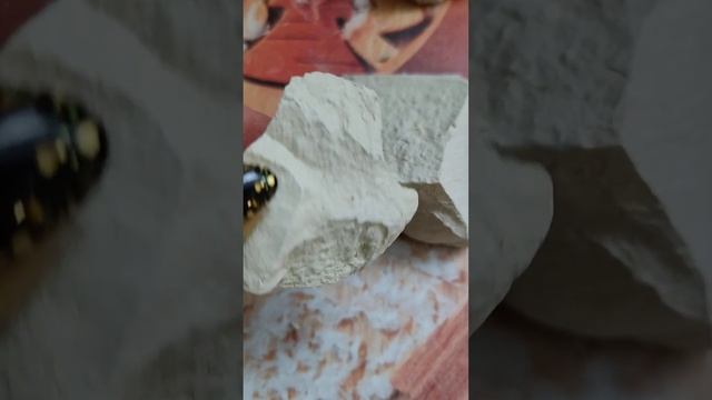 Глина Айвори/Ivory Clay смотреть онлайн