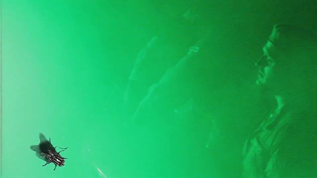 ХАСКИ | Томск 05.09.21 смотреть онлайн