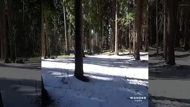 ЗДОРОВЬЯ ВАМ МОИ ДОРОГИЕ!!!!!