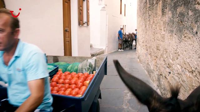 Discover Rhodes | TUI смотреть онлайн