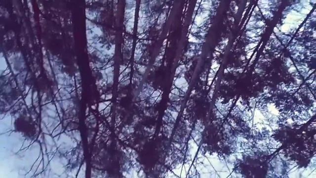 Упало дерево смотреть онлайн
