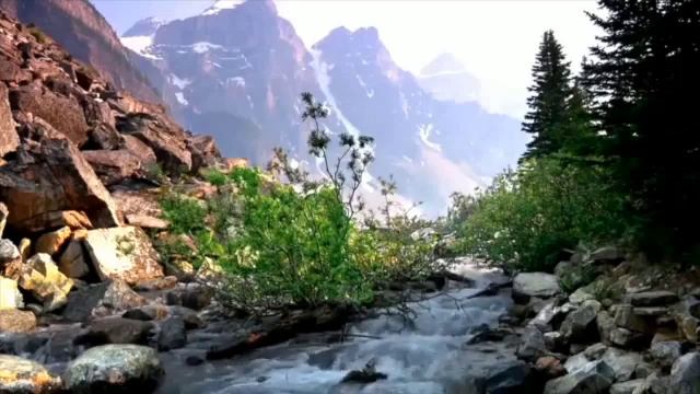 ВЕСЫ Астрологический прогноза на октябрь 2023 года смотреть онлайн