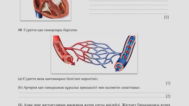 Биология 8 сынып ТЖБ 2 тоқсан | БЖБ ТЖБ ЖАУАПТАРЫ