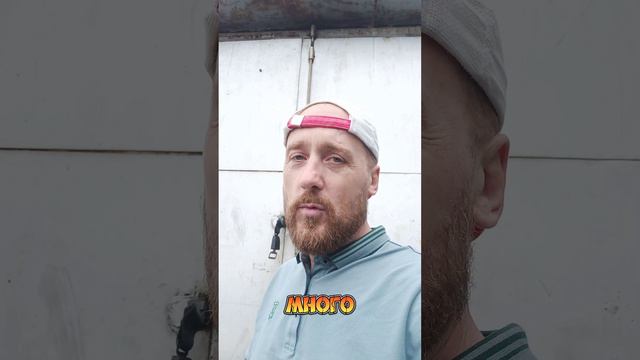 Застрял но выжил
