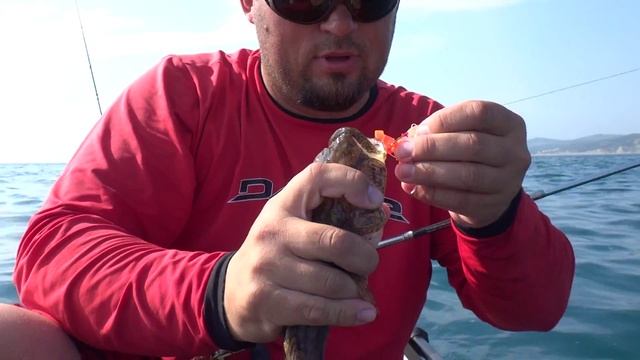 Рыбалка с каяка, ловим кнута с 50-ти метров. 8.06.2014. смотреть онлайн