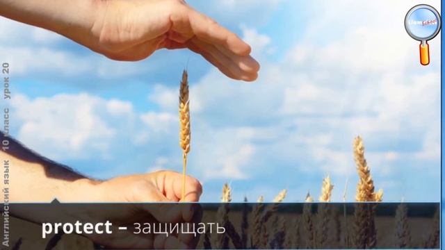 Английский язык 10 класс (Урок№20 - Endangered species.) смотреть онлайн