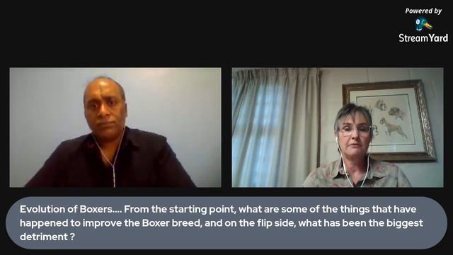 IBR Interview #30 - Monique Hodgkinson, Boxer breeder and Specialist Judge, South Africa смотреть онлайн