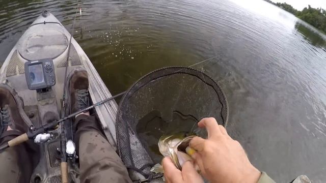 Summer Time Frog Fishing Fun! смотреть онлайн