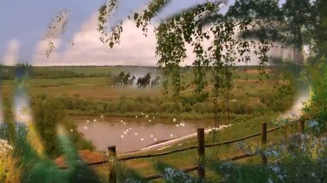 Автор проекта Любовь Соколова Сборник песен Валерия Заведяева смотреть онлайн