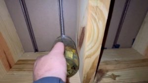 Как убрать осиное гнездо