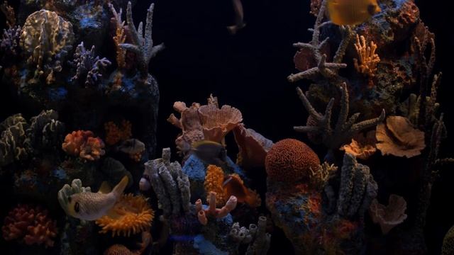 АКВАРИУМ и УСПОКАИВАЮЩАЯ МУЗЫКА. Расслабление перед сном.Anti-Stress Music, Relax and Meditation. смотреть онлайн