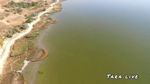 Мержаново. Маяк 2020. Аэросъемка смотреть онлайн