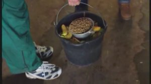 Галилео  Зоопарк часть 2