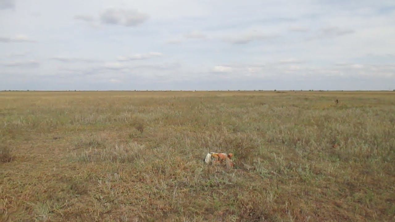 Опустевший хутор Малый Барсучий, Ровенский район.