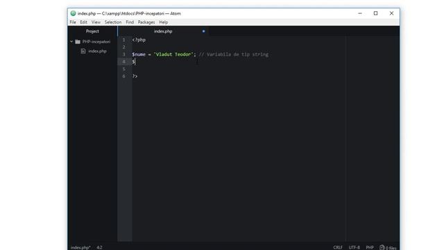 PHP începători - echo și variabilele смотреть онлайн