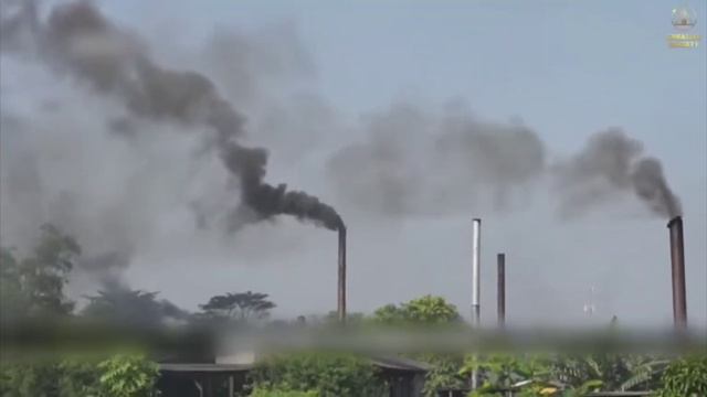 Куда девается мусор ? смотреть онлайн