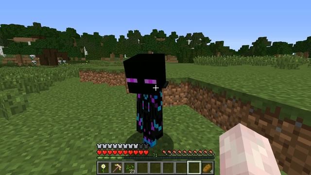 Я ВЫРАСТИЛ ЭНДЕРМЕНА РЕБЕНКА ИЗ ЯЙЦА В МАЙНКРАФТ НУБИК ИГРАЕТ В MINECRAFT 100% ТРОЛЛИНГ ЛОВУШКА смотреть онлайн