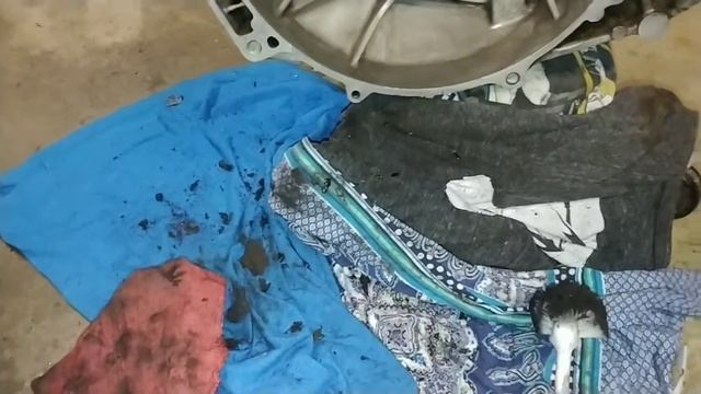 Project Orion, 98 Honda Prelude transmission cleaning. смотреть онлайн