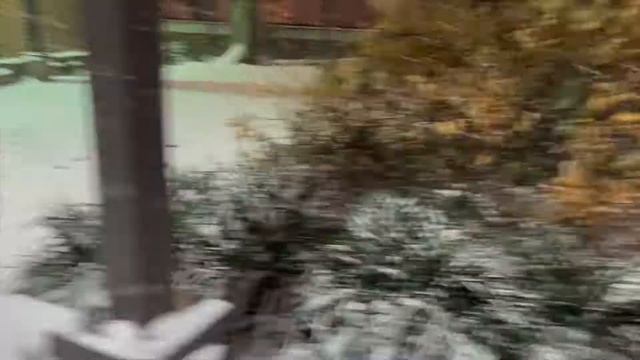 How does Java like snow? Every Day with Java (Dec 16, 2020) смотреть онлайн