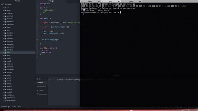 Tutorial Golang #35 JSON смотреть онлайн