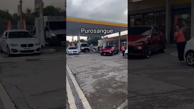 Which SUV will you take #ferrari #lamborghini #astonmartin #audi #mercedes #porsche #lotus #supra смотреть онлайн