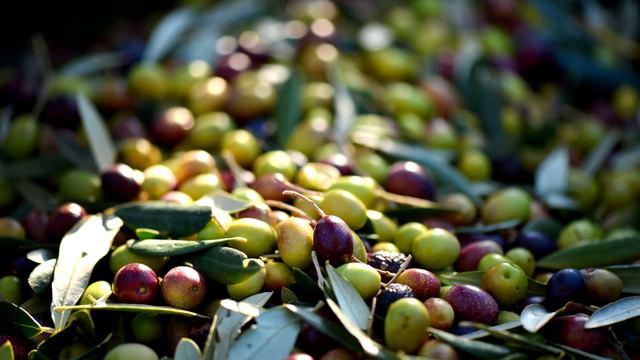 Рецепт здоровых волос от самого ПРОРОКА МУХАММАДА смотреть онлайн