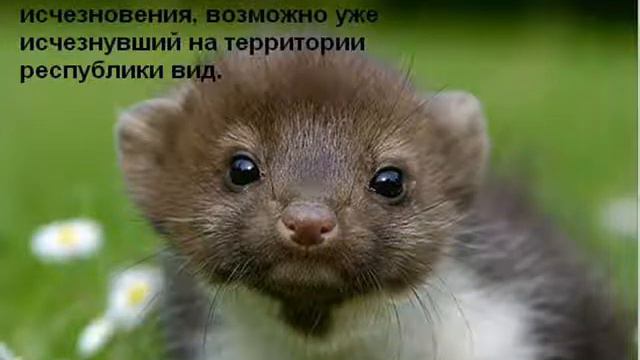 Без имени 0002 смотреть онлайн