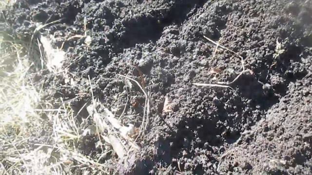 У нас субботник.Посадила редиску.Кирилл играет в машинки. смотреть онлайн