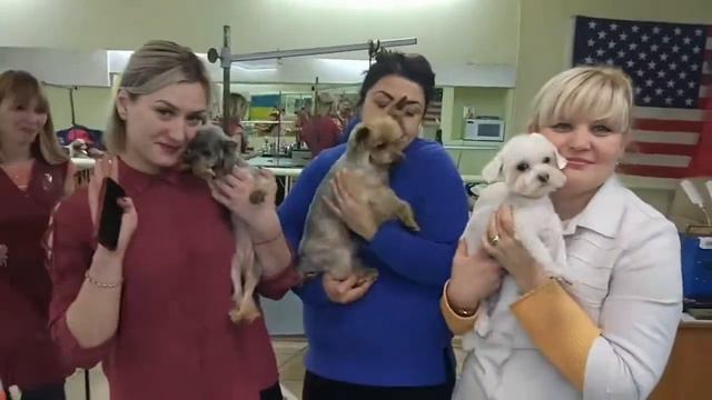 Обучение грумингу в Территории Груминга