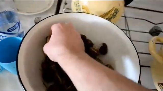 Улитка виноградная рецепт приготовление смотреть онлайн