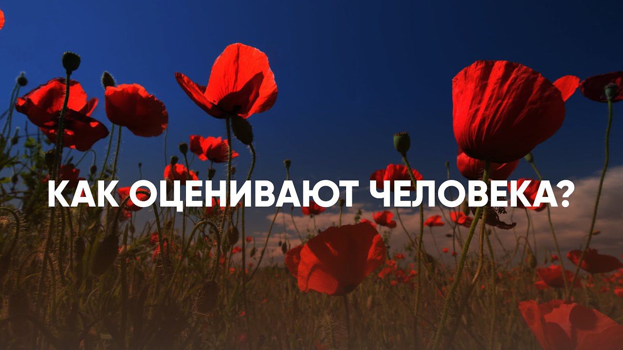 Как оценивают человека? смотреть онлайн