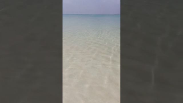 Thoddoo island, Maldives смотреть онлайн